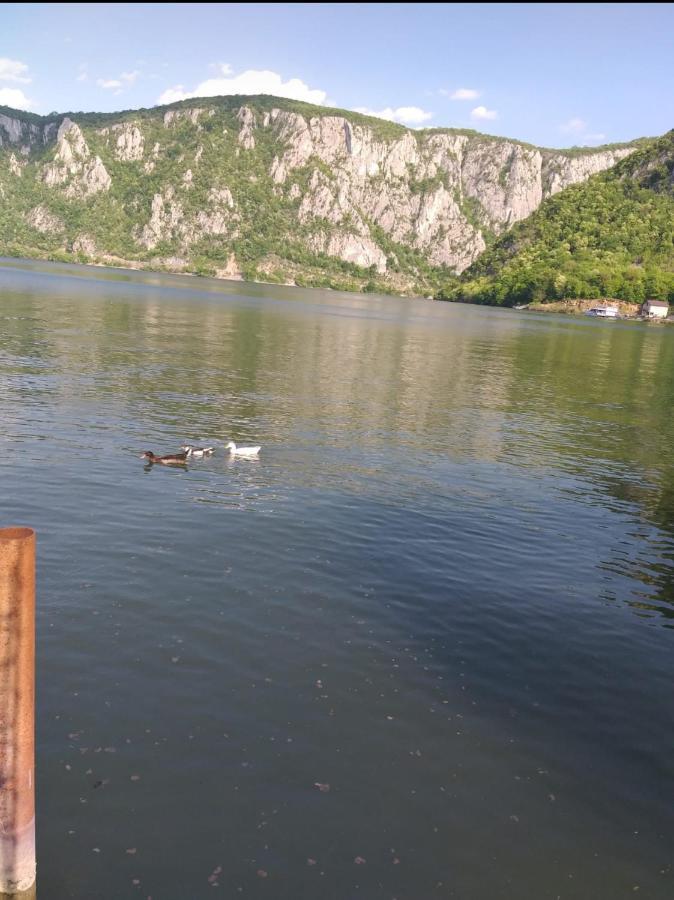 Escape Hotel Dubova Bagian luar foto